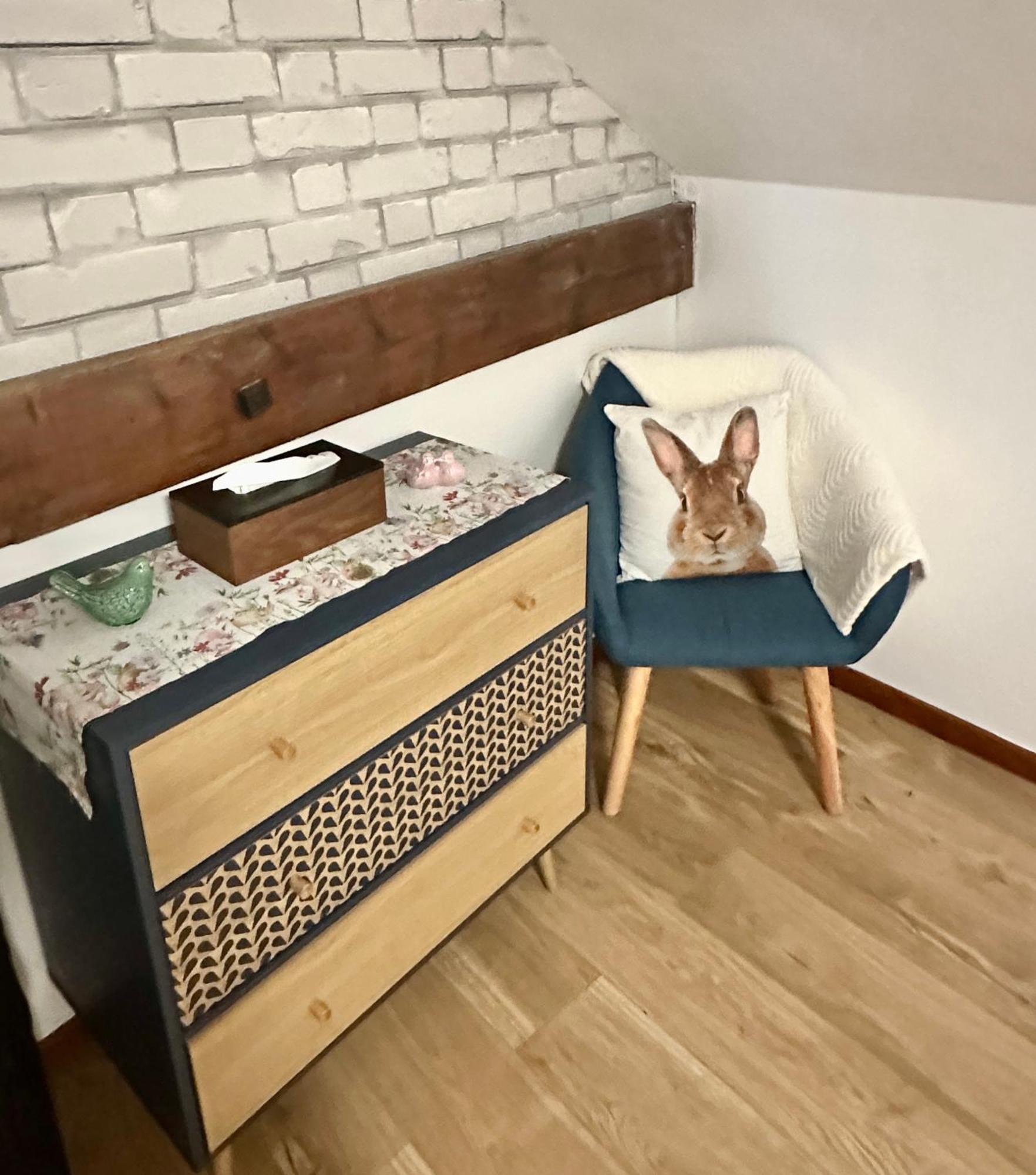 Apartamento Le Cocon De Marckolsheim Proche Europapark Exterior foto